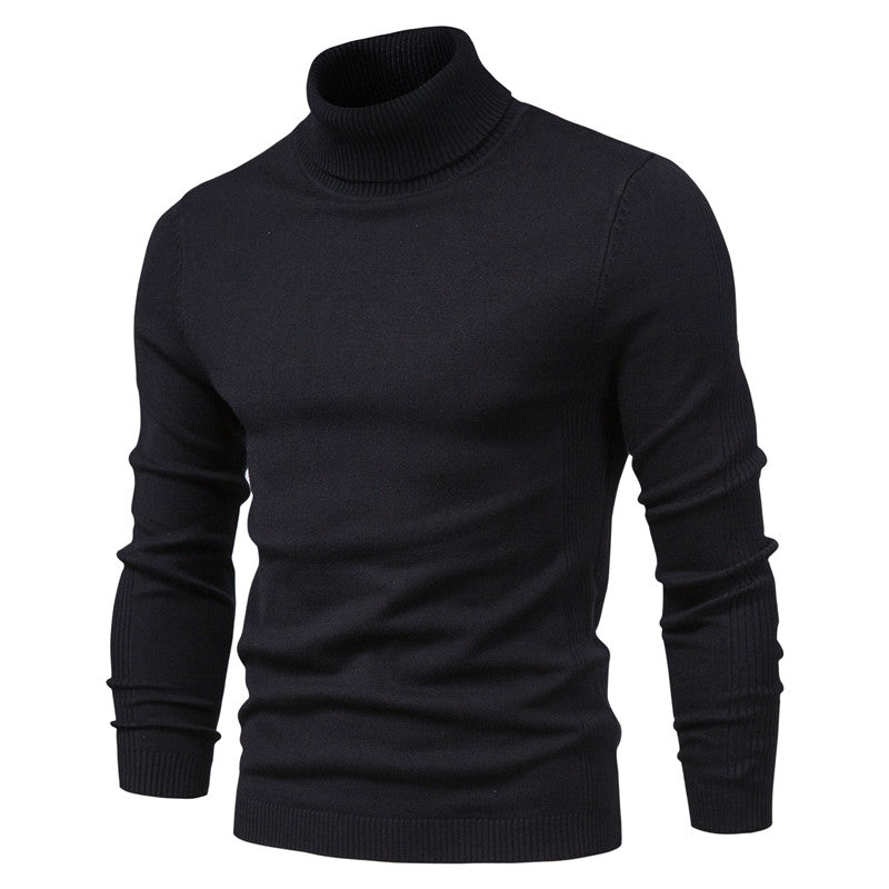 Oliver | Casual Men's Turtleneck Knit Sweater